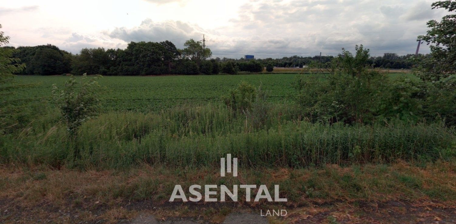 Prodej zemědělský pozemek - Hošťálkovice, Ostrava