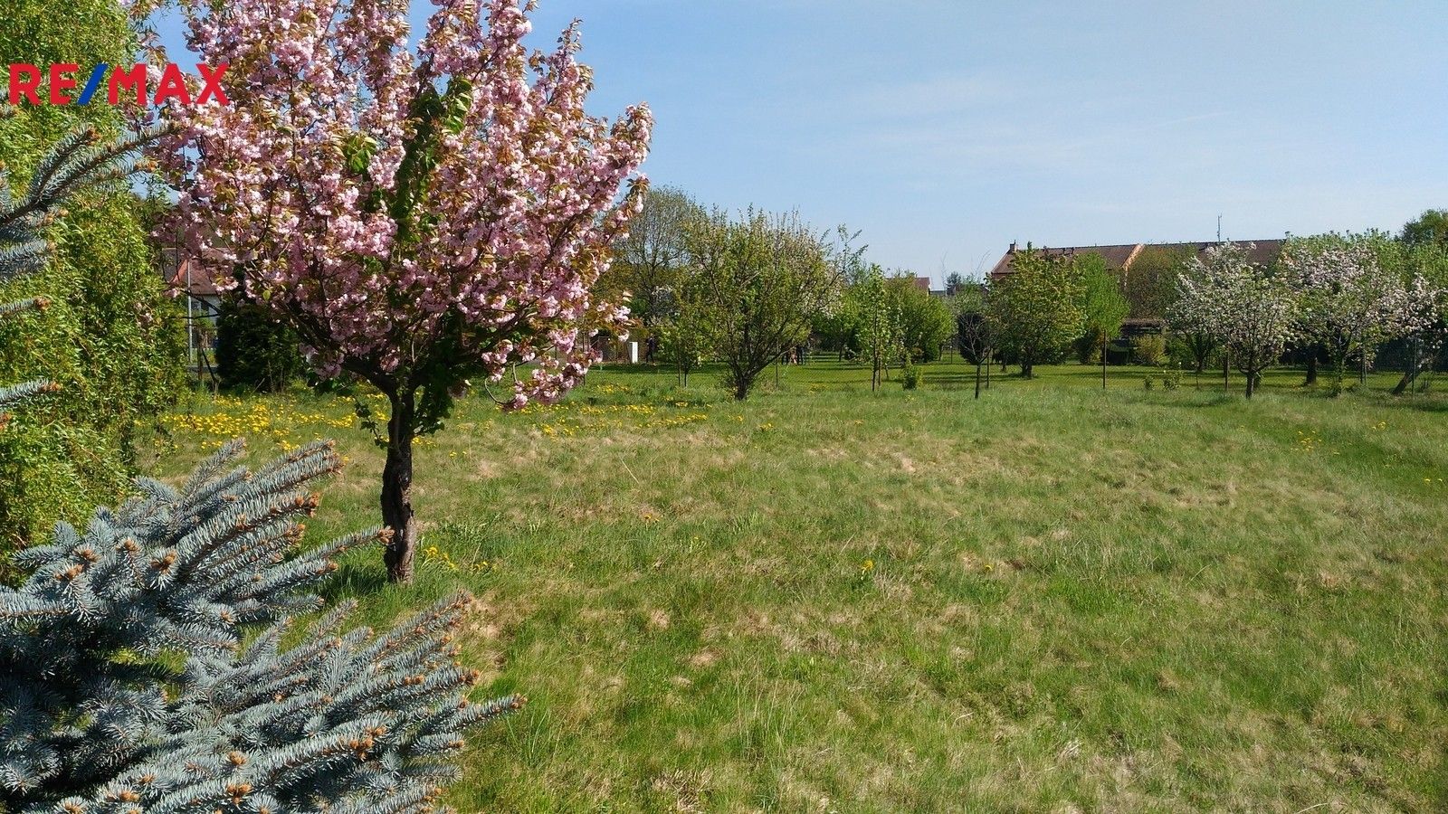 Prodej pozemek pro bydlení - Sokolská, Mikulovice, 1 m²