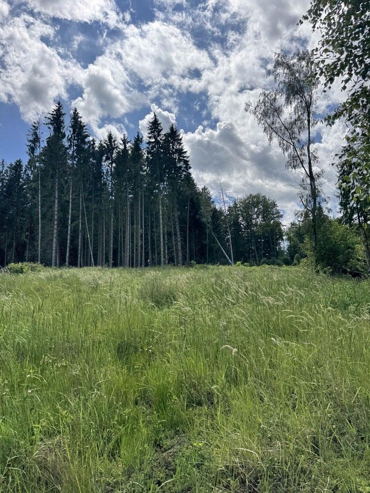 Lesy, Nýřany, okres Plzeň-sever, Plzeňský kraj - 2