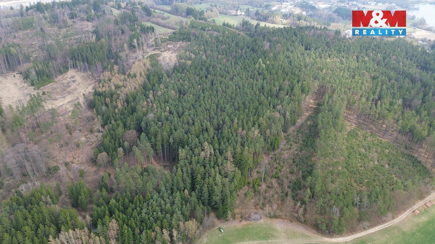 Prodej les - Mrákotín, okres Jihlava, Kraj Vysočina - 5