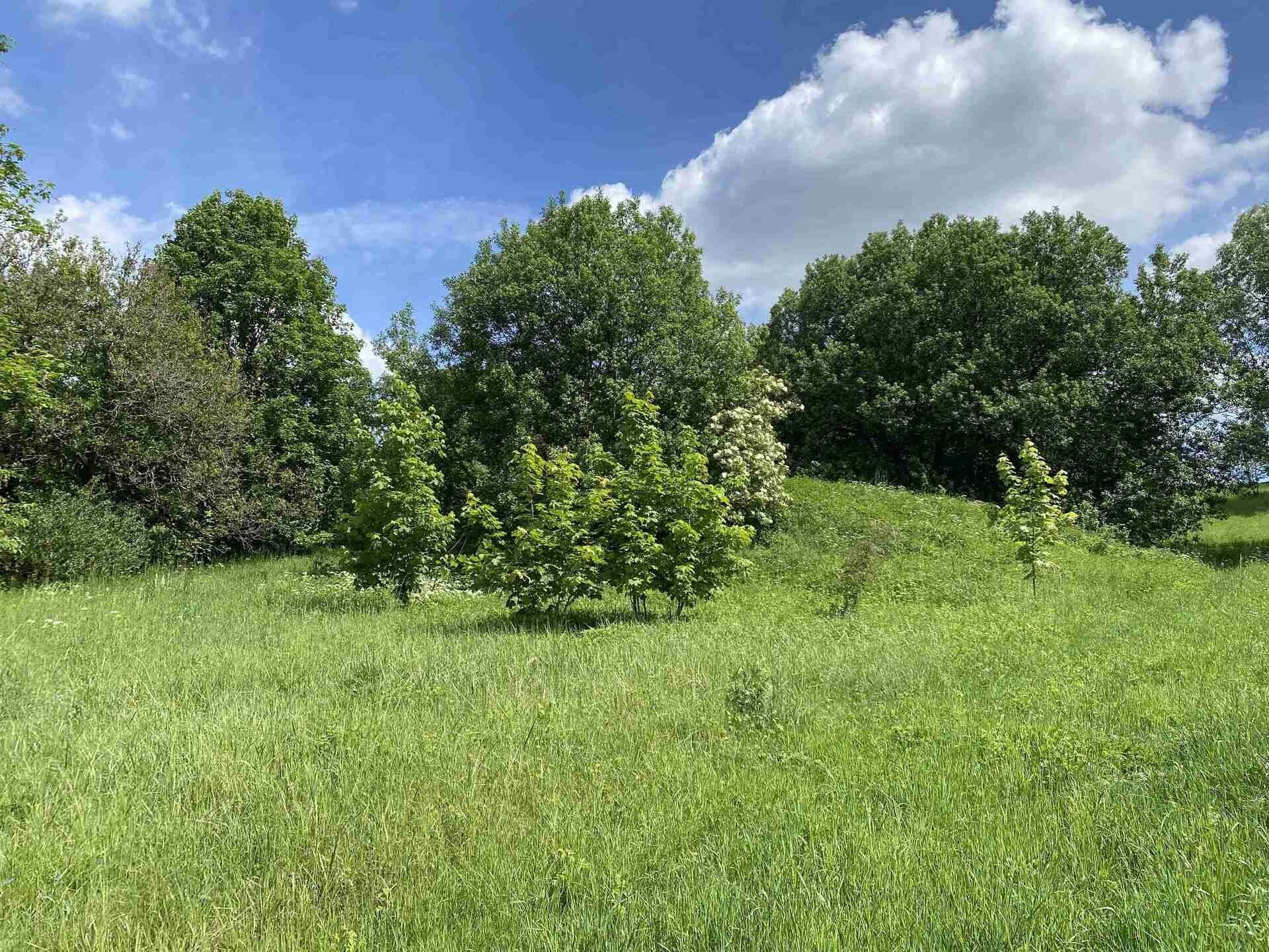 Ostatní, Stálkov, Slavonice, 1 m²