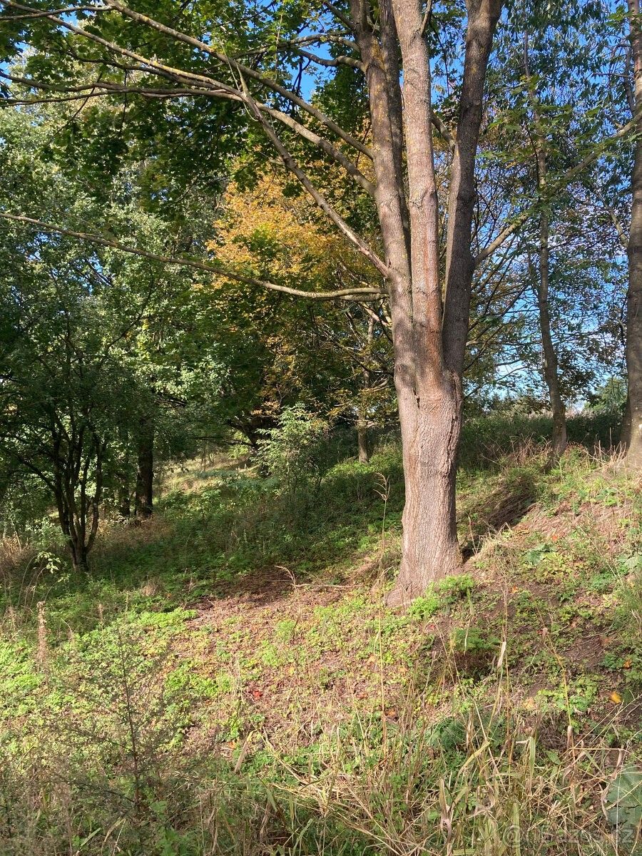 Prodej zahrada - Chřešťovice, 398 17