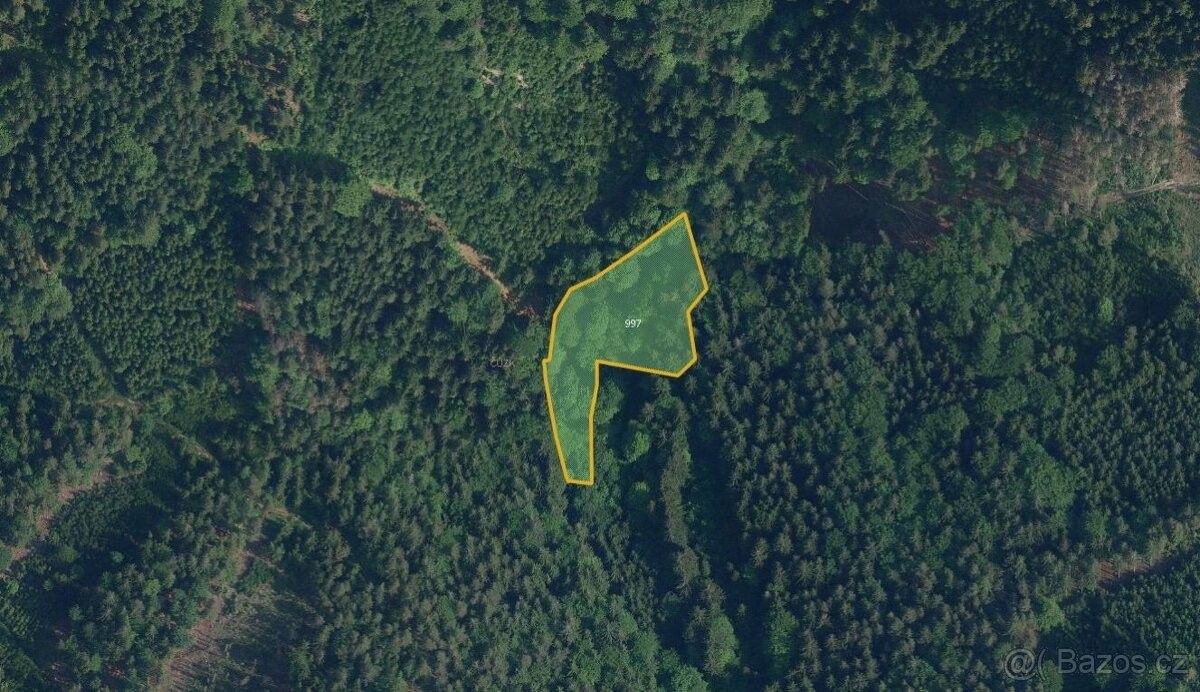 Prodej pozemek pro bydlení - Železný Brod, 468 22