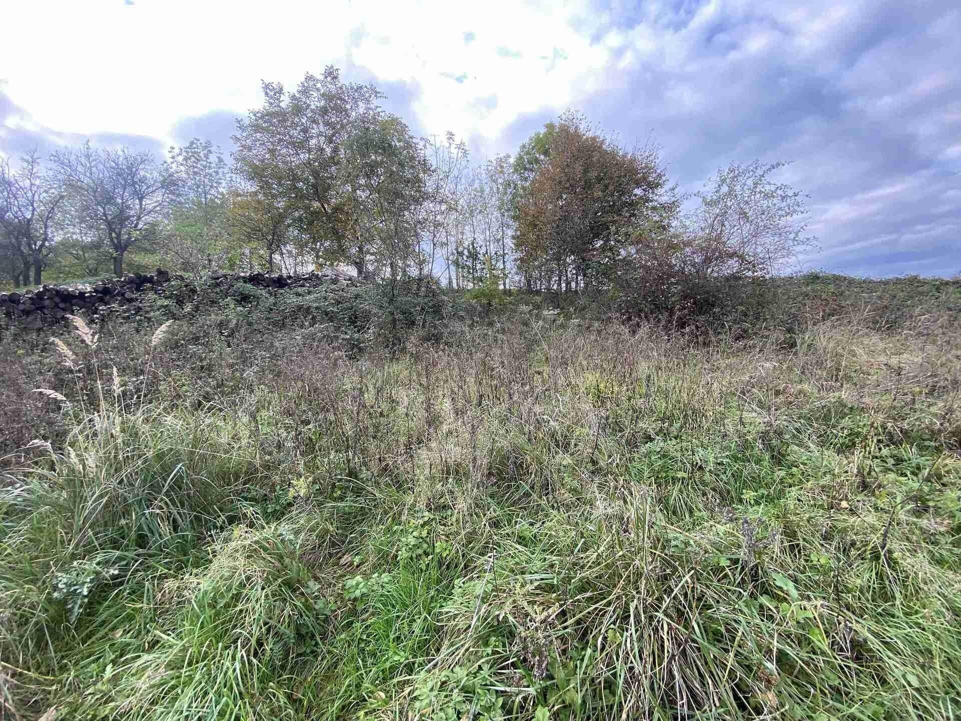 Pozemky pro bydlení, Horní Hoštice, Javorník, 1 m²