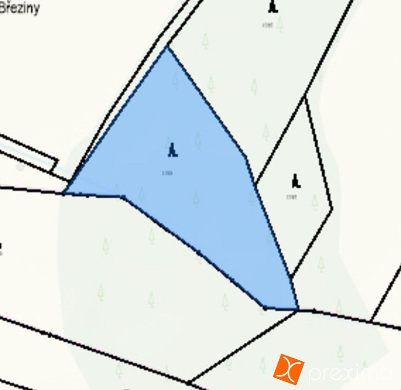 Les · Polesí, okres Pelhřimov, Kraj Vysočina - 3