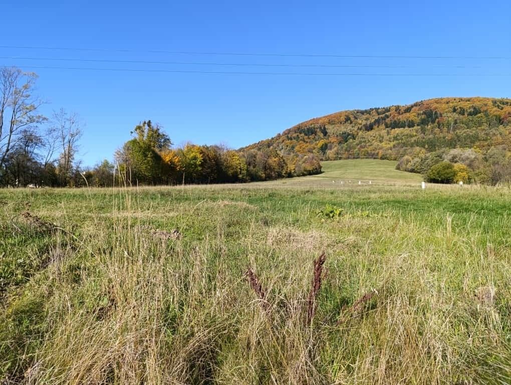 Prodej pozemek pro bydlení - Lichnov u Nového Jičína, 742 75