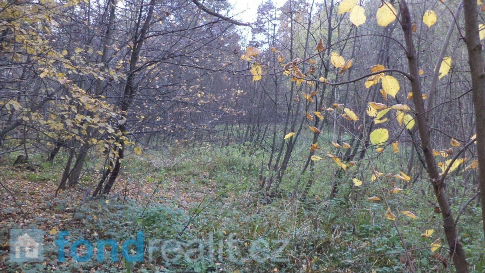 Prodej pozemek - Český Těšín, 3 m²