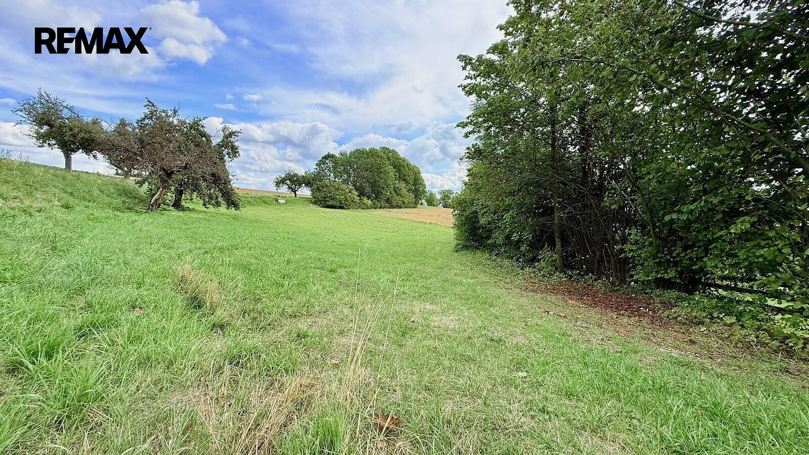 Prodej pozemek pro bydlení - Jedlá, okres Havlíčkův Brod, Kraj Vysočina - 5