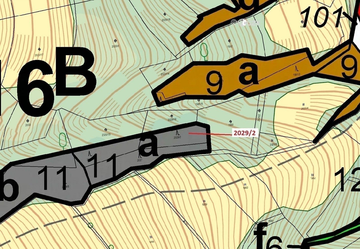 Les · Hovězí, okres Vsetín, Zlínský kraj - 3