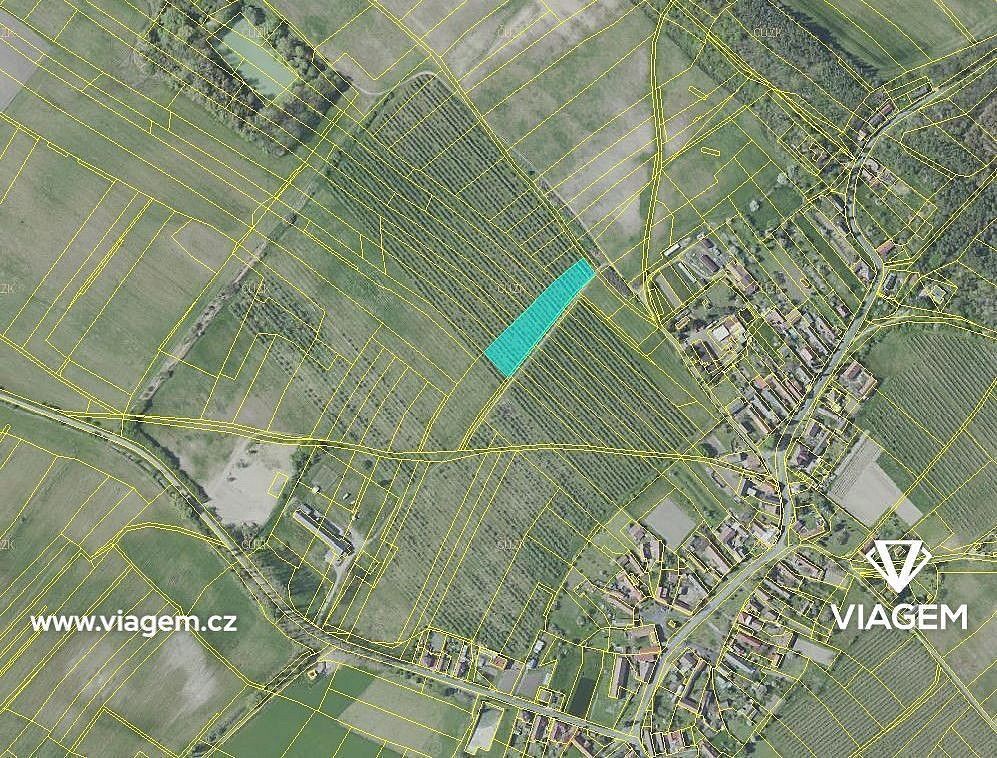 Zemědělský pozemek · Horušice, okres Kutná Hora, Středočeský kraj - 3