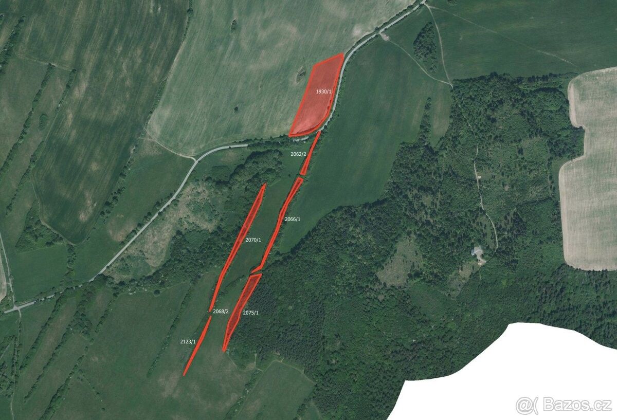 Prodej pozemek pro bydlení - Město Albrechtice, 793 95