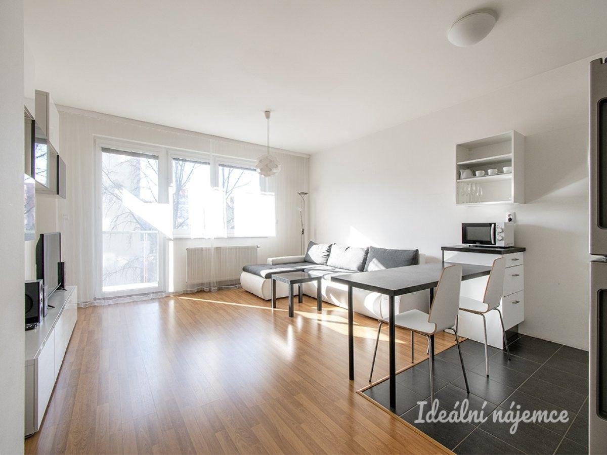 Pronájem byt 1+kk - Matějkova, Praha, 42 m² - 5
