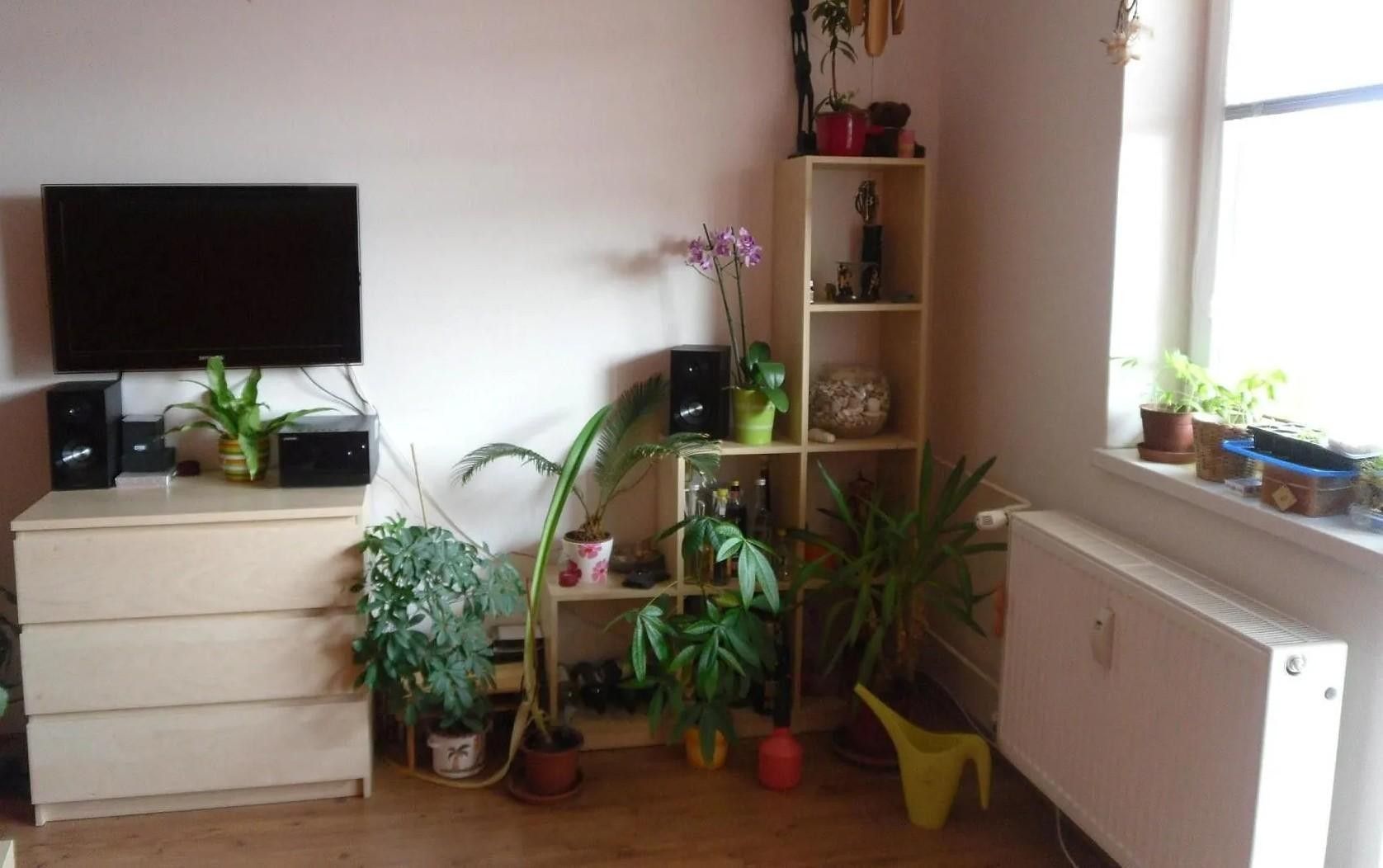 Byt 1+kk · 33 m² · Pálavské náměstí, Brno - 4