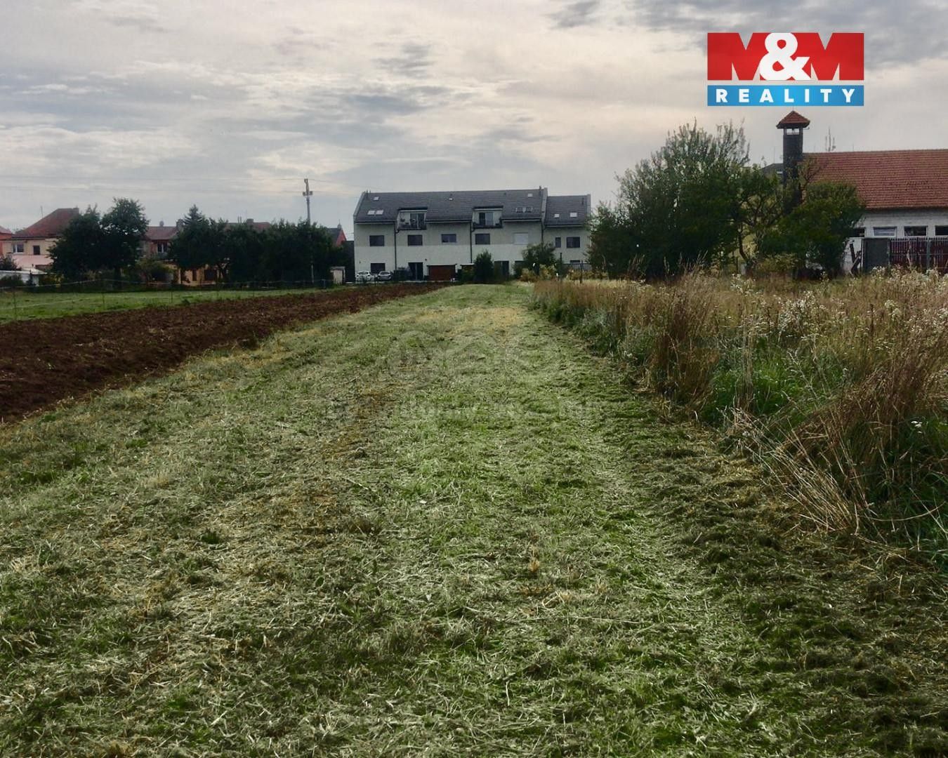 Prodej zemědělský pozemek - Přísnotice