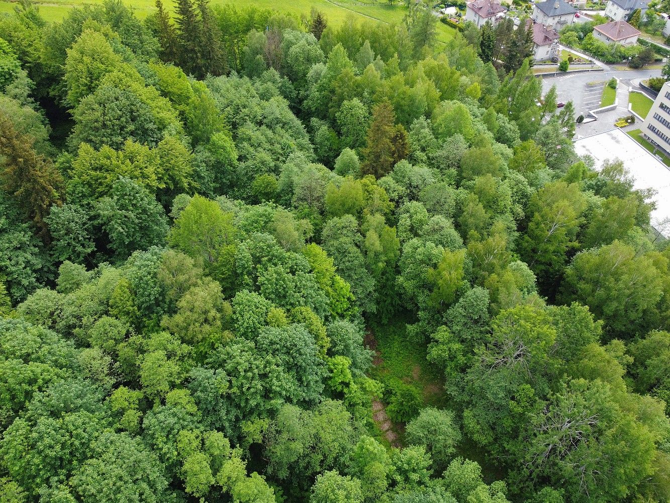 Prodej pozemek pro bydlení - Jeseník, Olomoucký kraj - 5