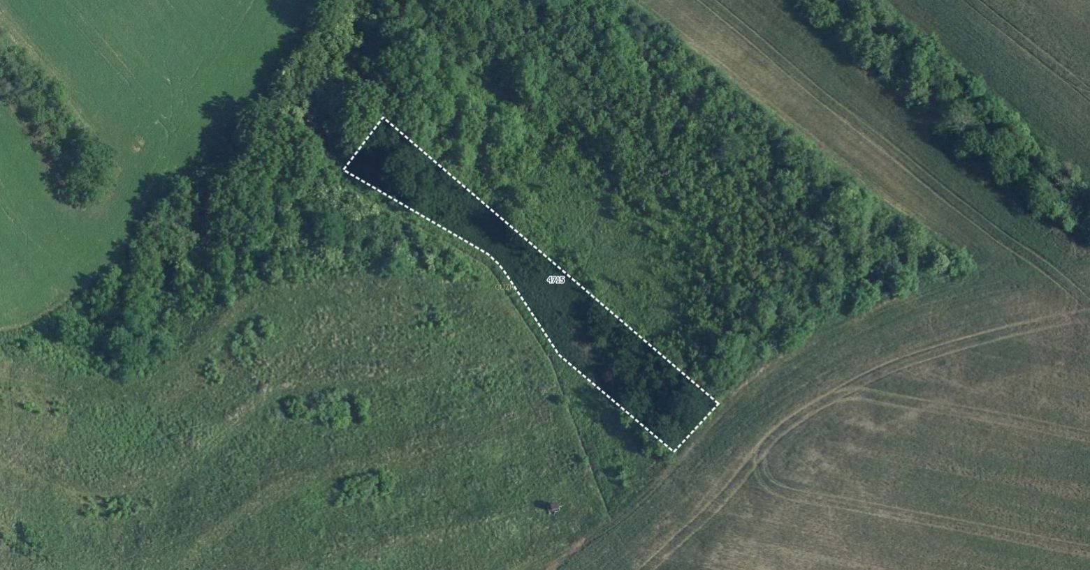 Prodej zemědělský pozemek - Starovičky