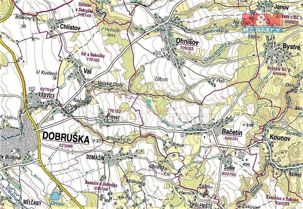 Louka · Bačetín, okres Rychnov nad Kněžnou, Královéhradecký kraj - 4