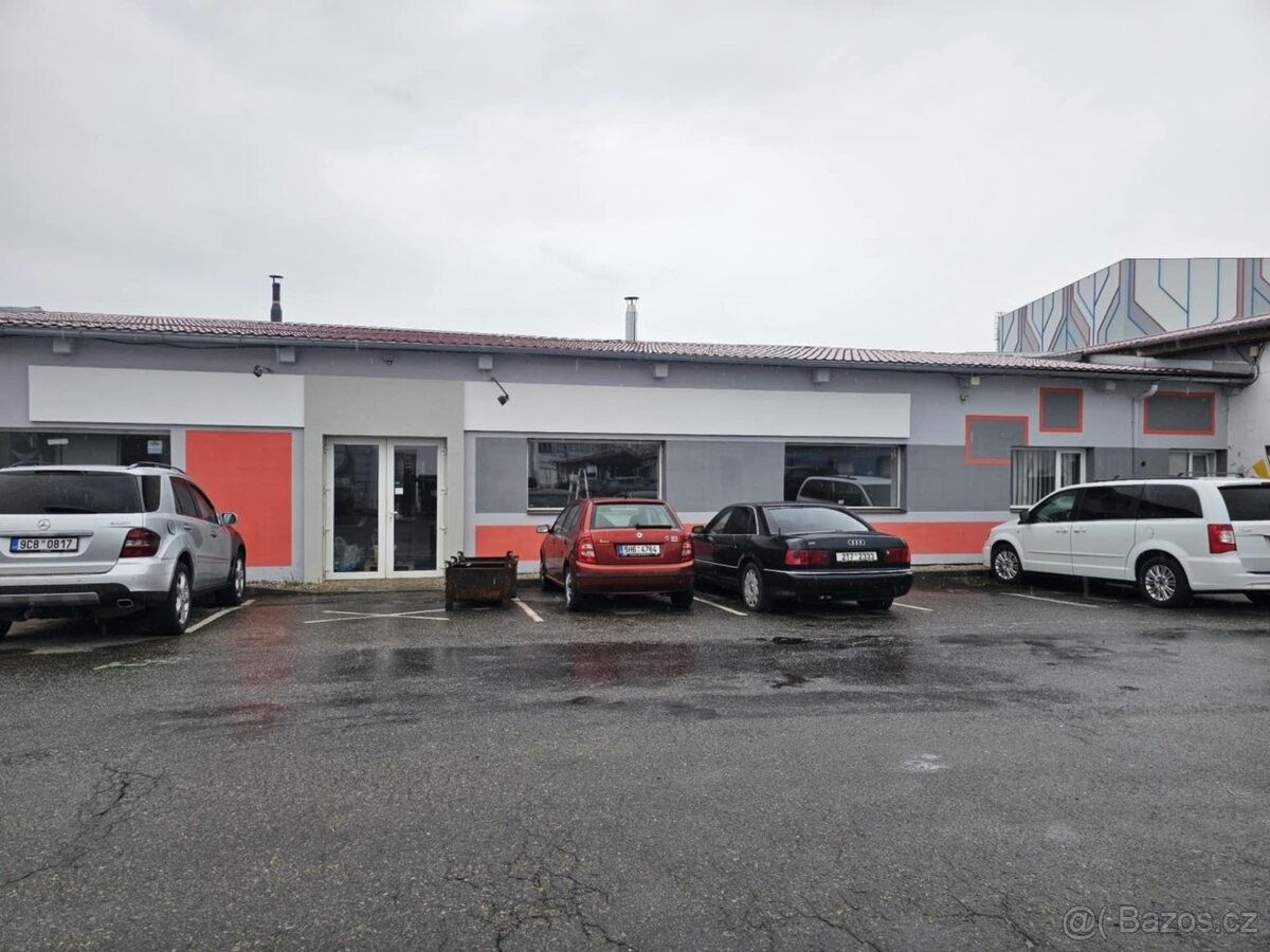 Obchodní prostory, České Budějovice, 370 04