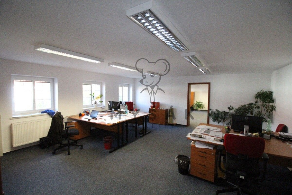 Kanceláře, Hradební 351, České Budějovice 1, 29 m² - 2