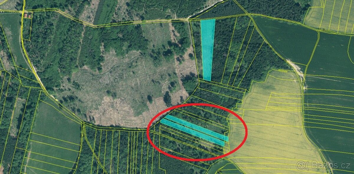 Prodej pozemek pro bydlení - Bernartice u Milevska, 398 43