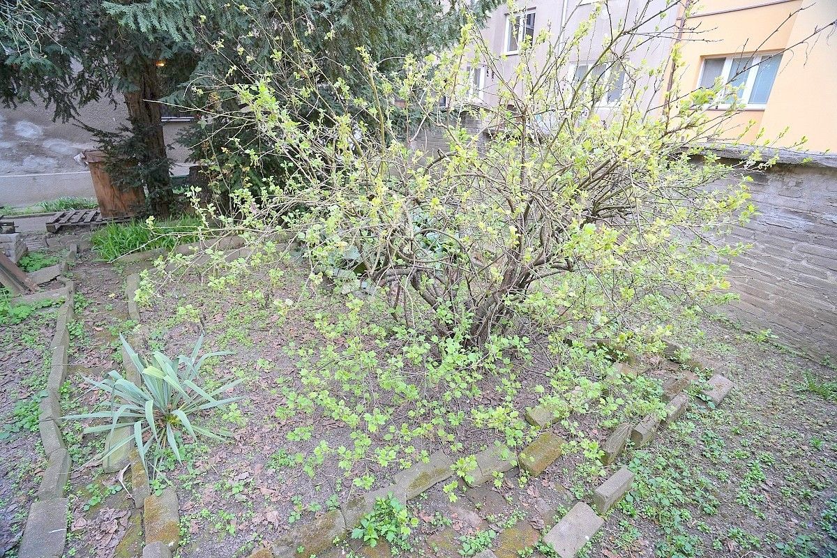Prodej rodinný dům - Jana Palacha, Kralupy nad Vltavou, okres Mělník, 132 m² - 5