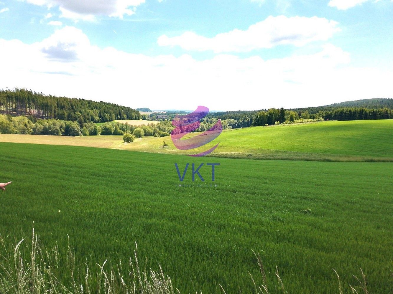 Louka · Lísek - Vojtěchov, okres Žďár nad Sázavou, Kraj Vysočina - 3