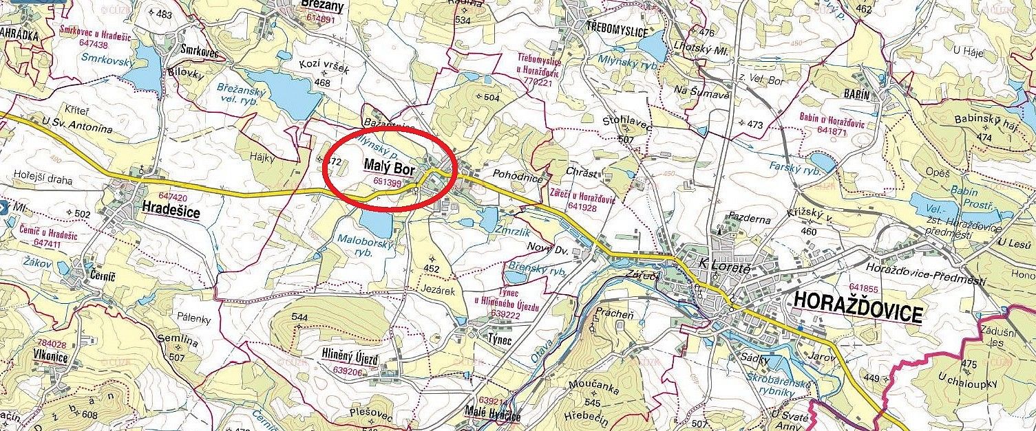 Prodej les - Malý Bor, okres Klatovy, Plzeňský kraj - 2