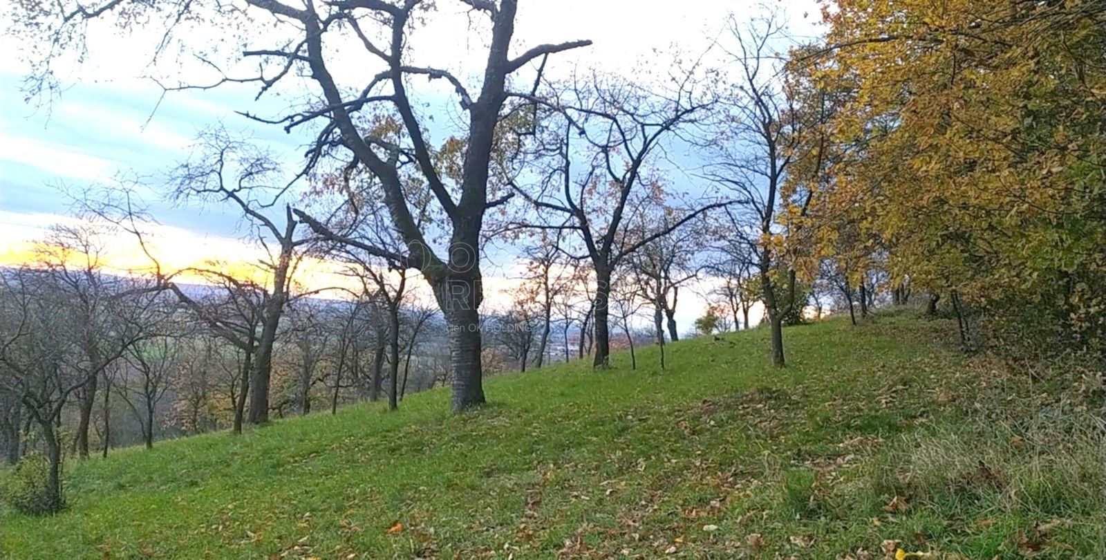Prodej zahrada - Přílepy, 3 492 m² - 2