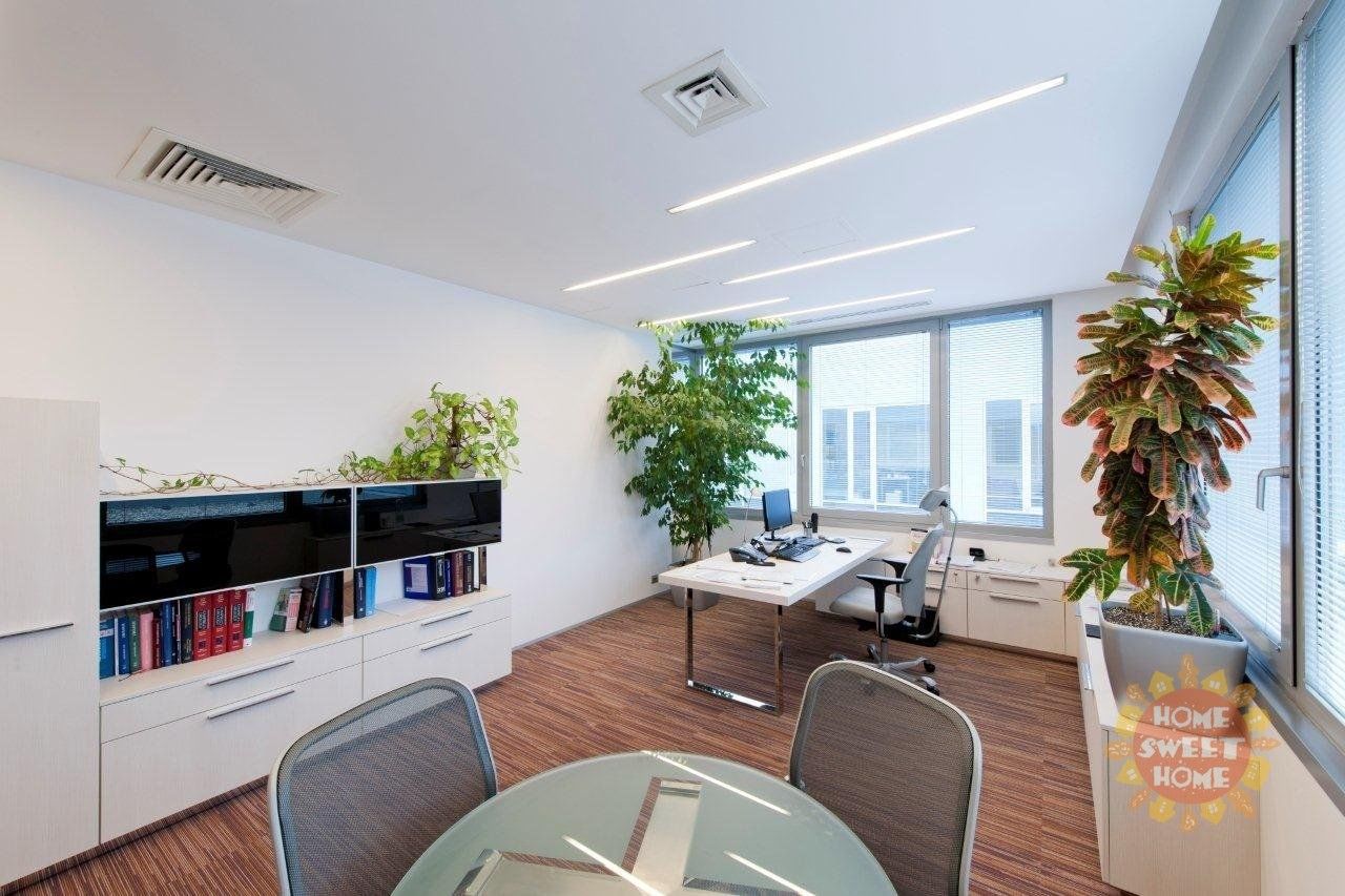 Kanceláře, Sokolovská, Praha, 281 m²