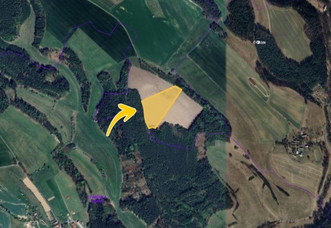 Prodej zemědělský pozemek - Bílá, 27 165 m²