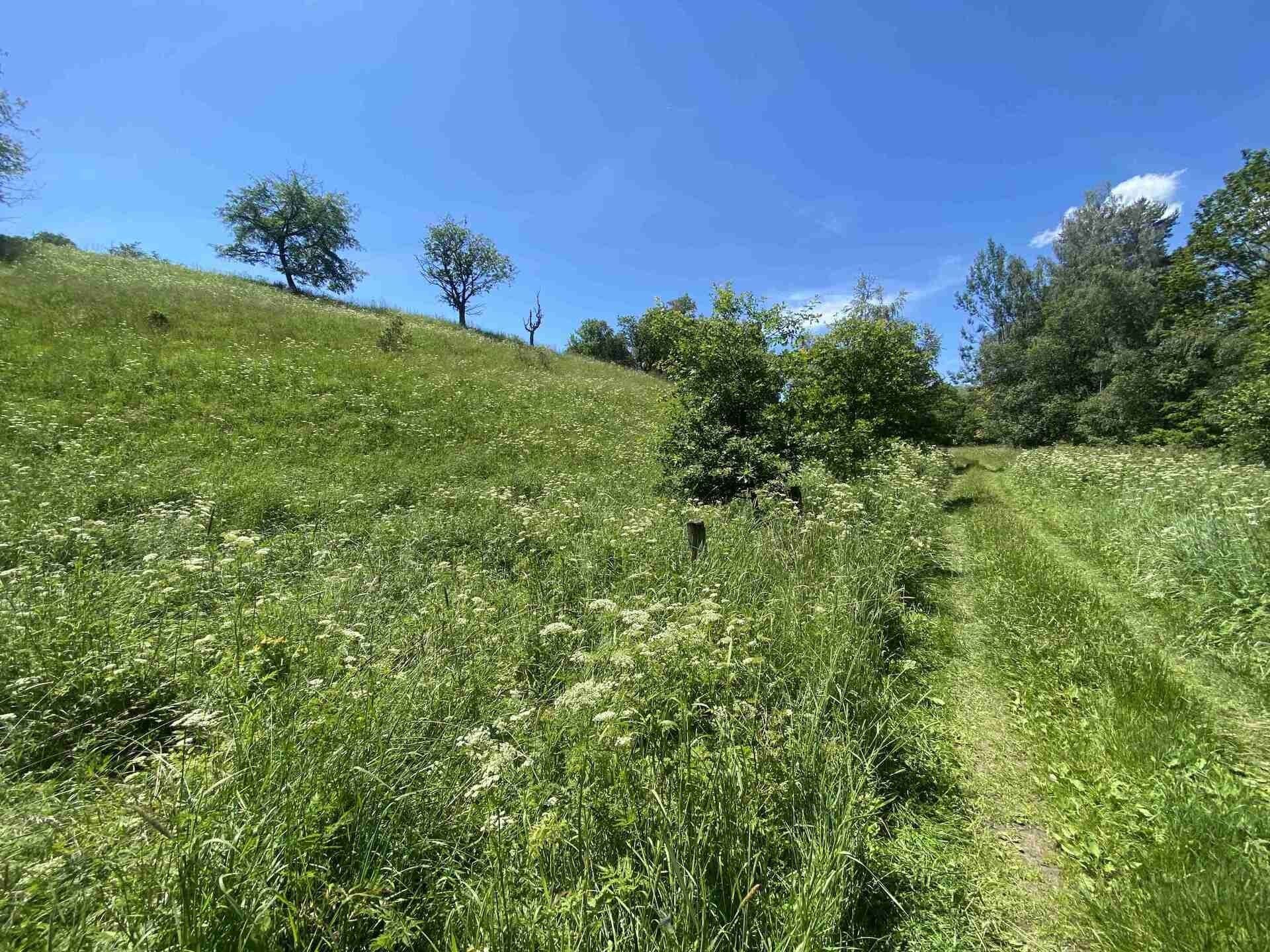 Zemědělský pozemek, 5 634 m²