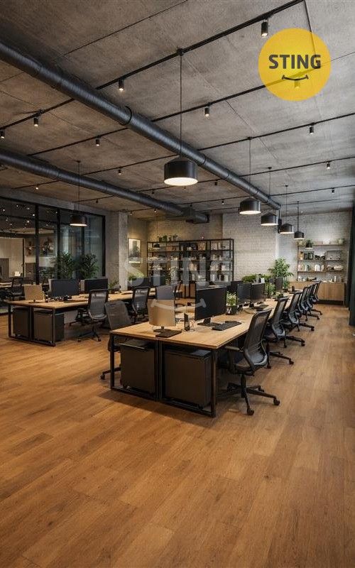 Obchodní prostory, Denisova, Ostrava, 125 m²