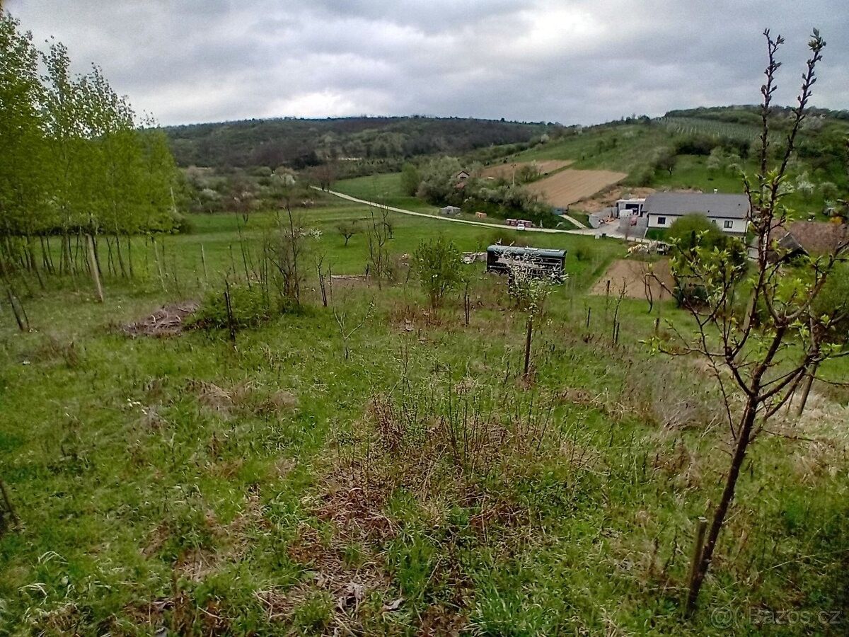 Prodej pozemek pro bydlení - Boleradice, 691 12