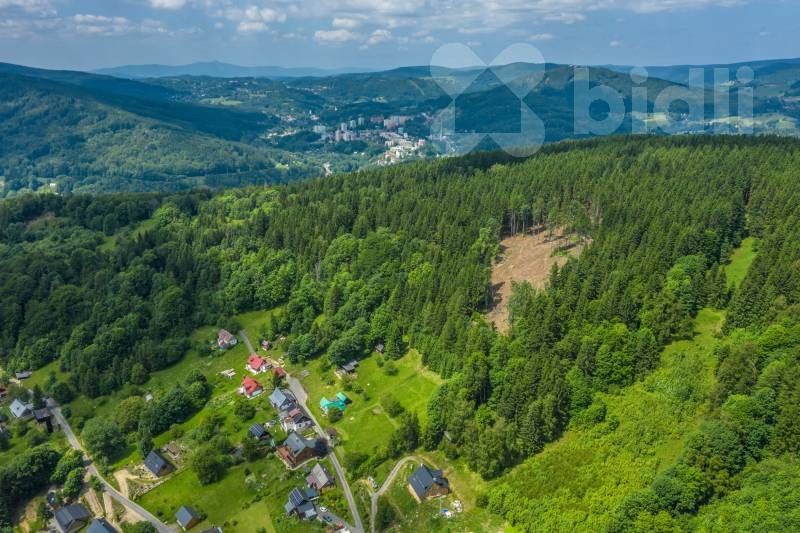 Prodej les - Šumburk nad Desnou, Tanvald