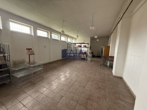 Obchodní prostory · Slavonice, 378 81 - 4