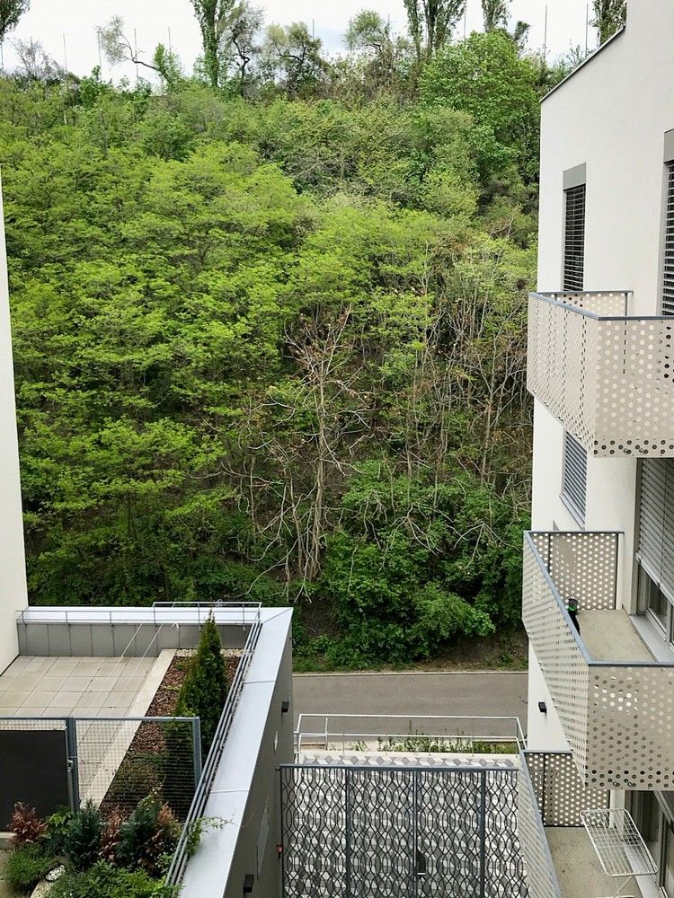 Byt 2+kk · 61 m² · Hartigova, Praha 3 - Žižkov - 3