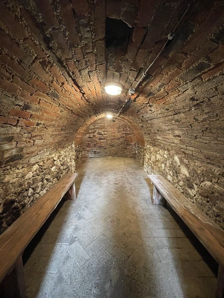 Pronájem obchodní prostory - Klentnice, okres Břeclav, Jihomoravský kraj, 432 m² - 2