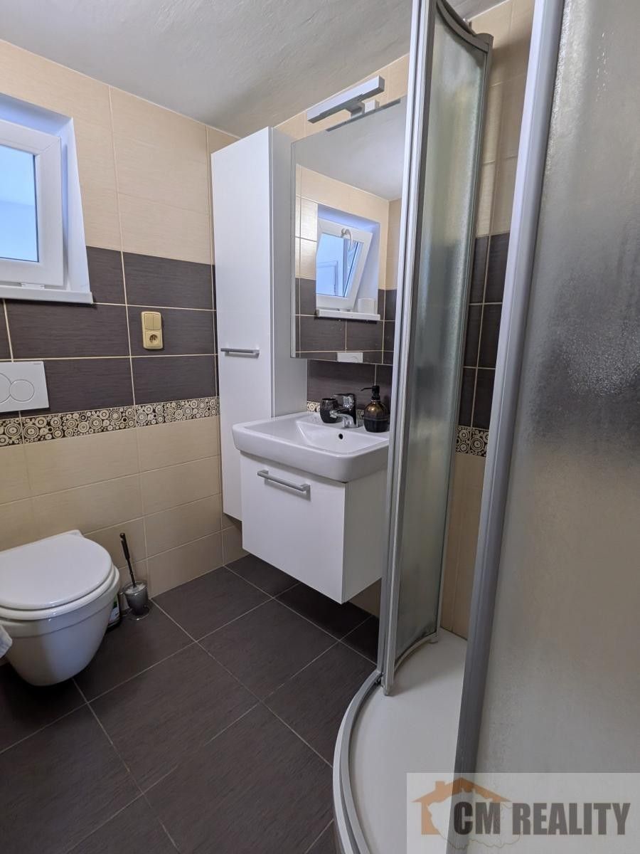 Rodinný dům · 245 m² · Nábřežní, Mostkovice - 3