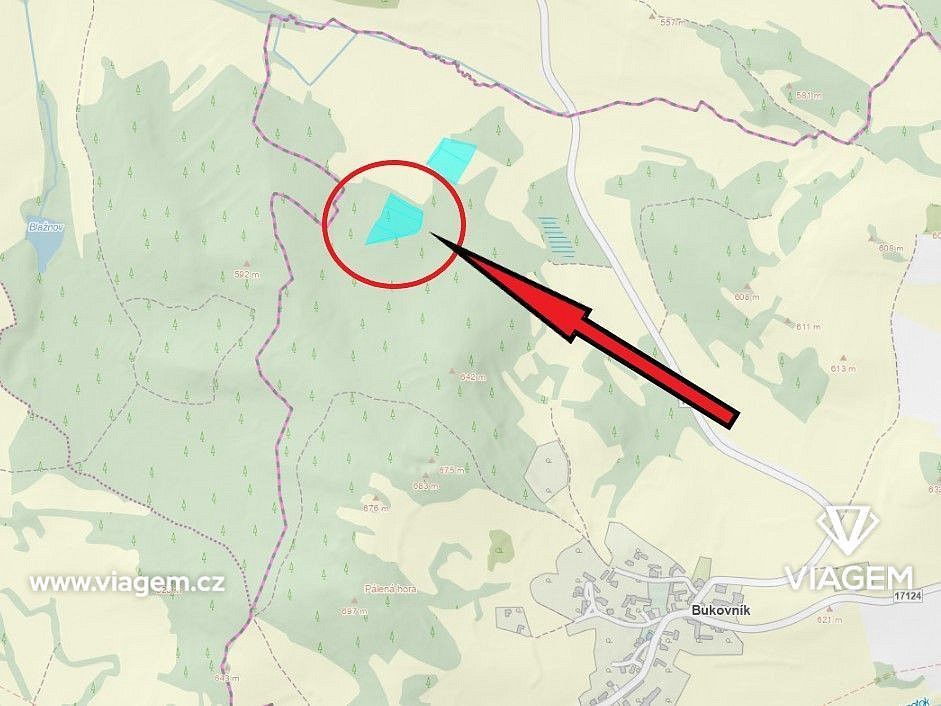 Les · Bukovník, okres Klatovy, Plzeňský kraj - 4