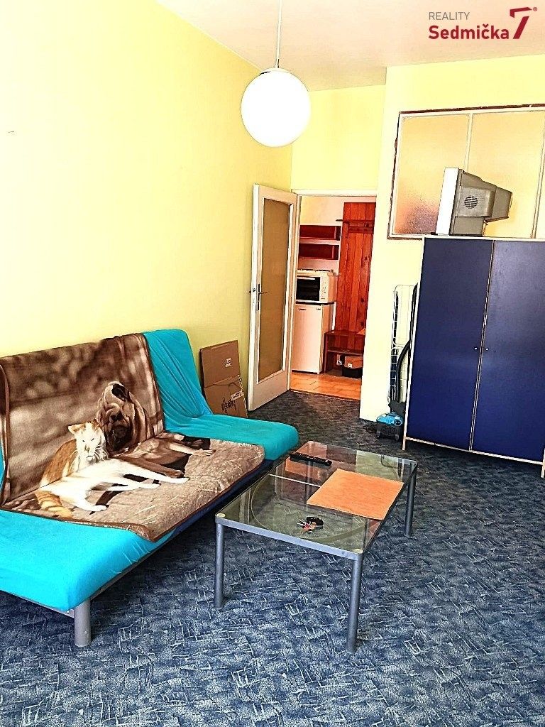 Pronájem byt 1+kk - Cihlářská, Brno, 28 m² - 5