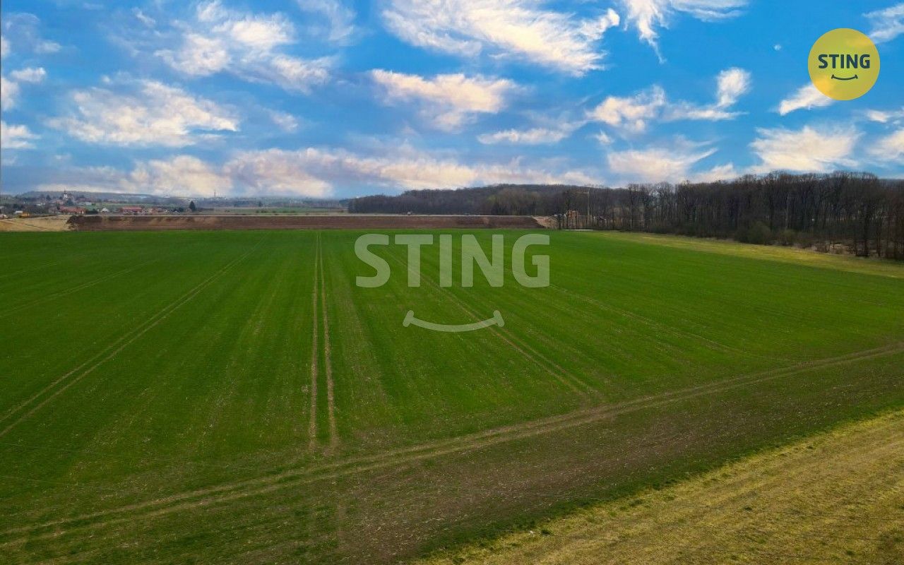 Prodej zemědělský pozemek - Sadová, 6 038 m²