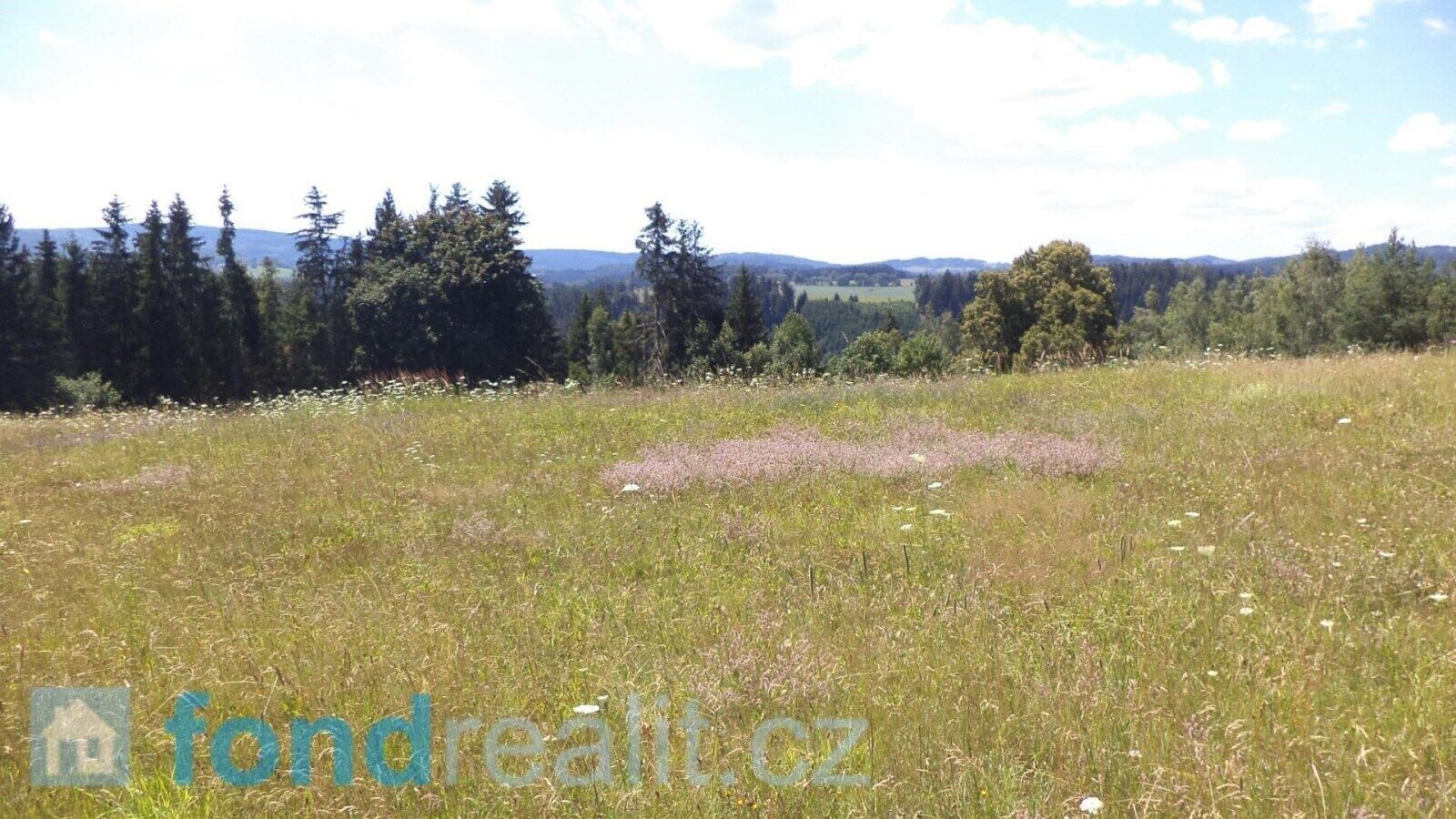 Prodej zemědělský pozemek - Všeměry, Přídolí, 13 m²