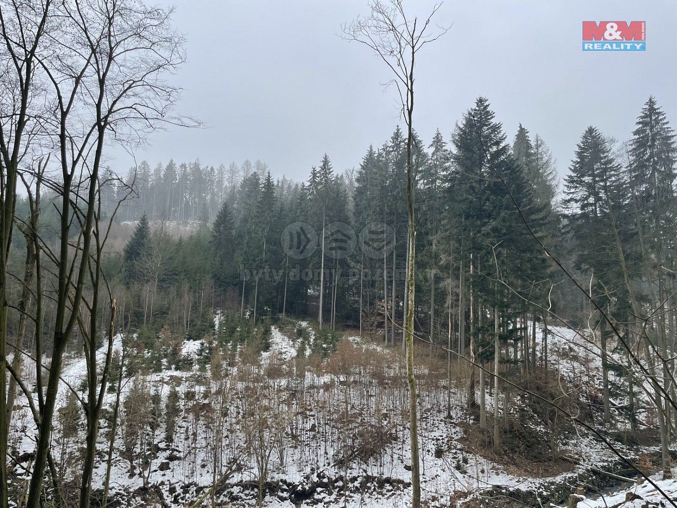Lesy, Záhoří - Smrčí, okres Semily, Liberecký kraj - 2