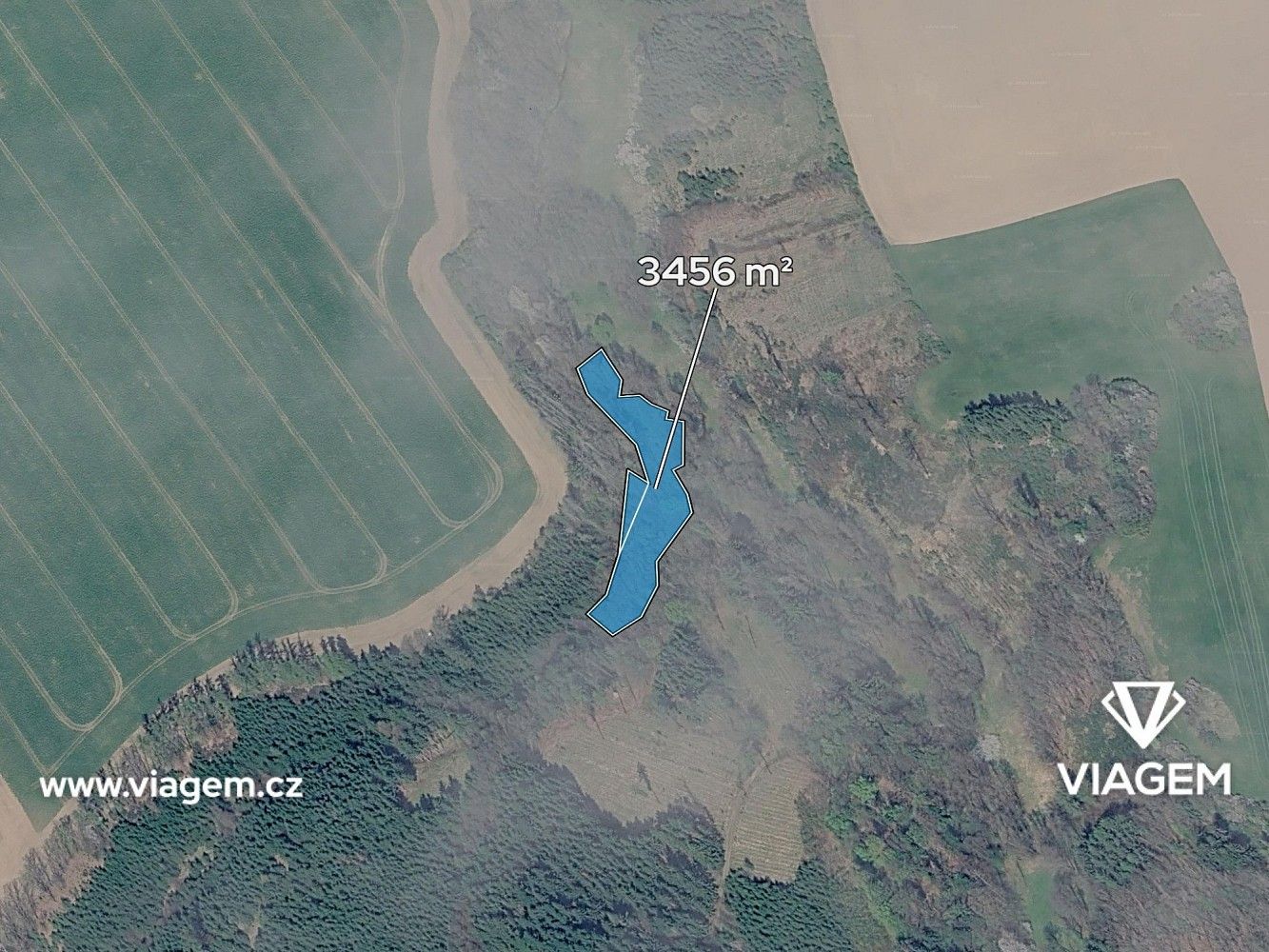 Prodej les - Vilémov, okres Havlíčkův Brod, Kraj Vysočina - 2