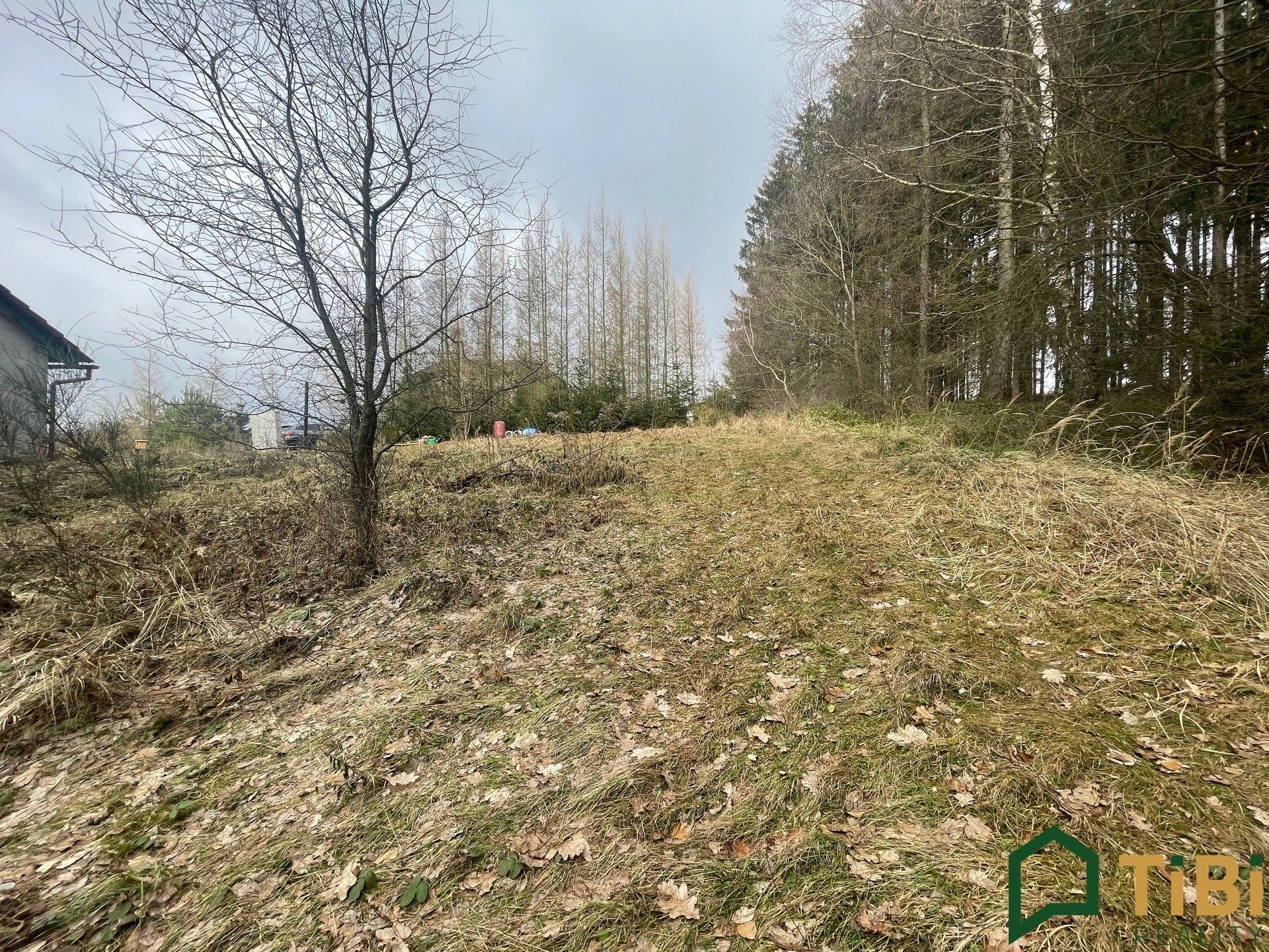 Pozemek pro bydlení · 1 753 m² · Žipotín, Gruna - 4