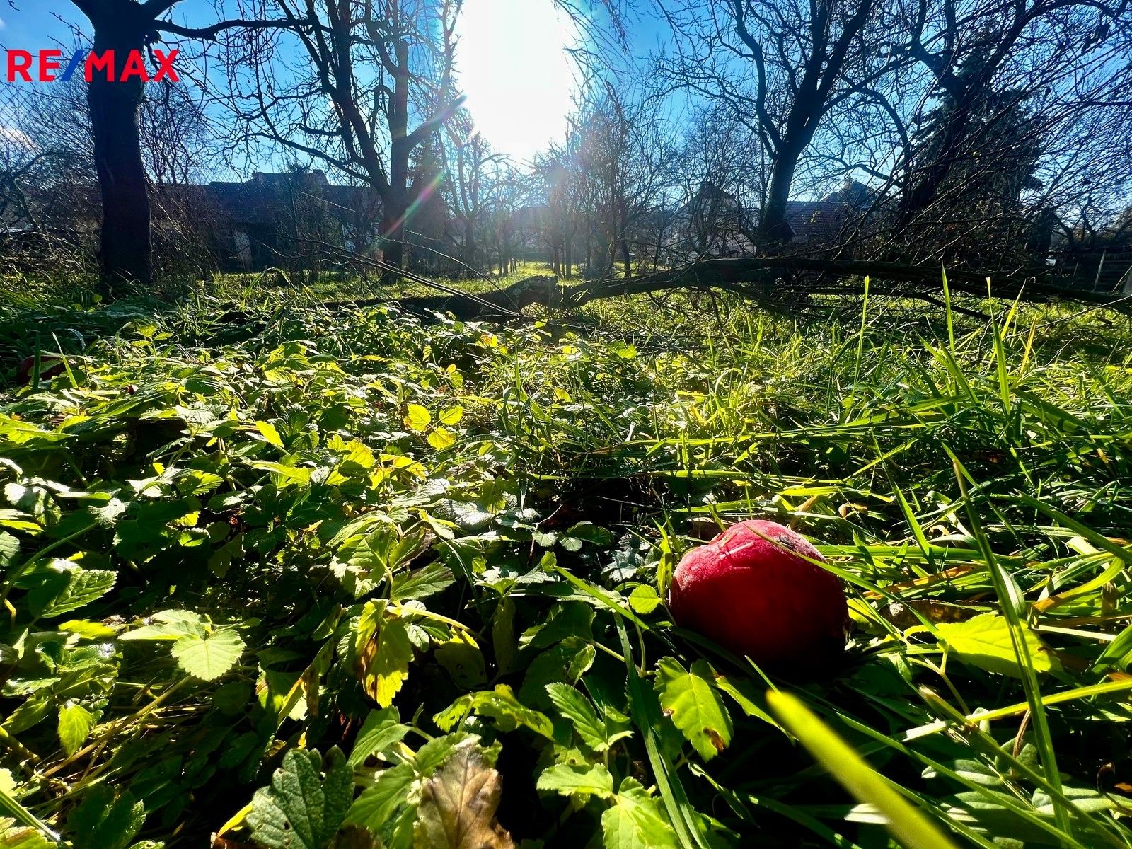 Prodej pozemek pro bydlení - Podolí, 1 m²