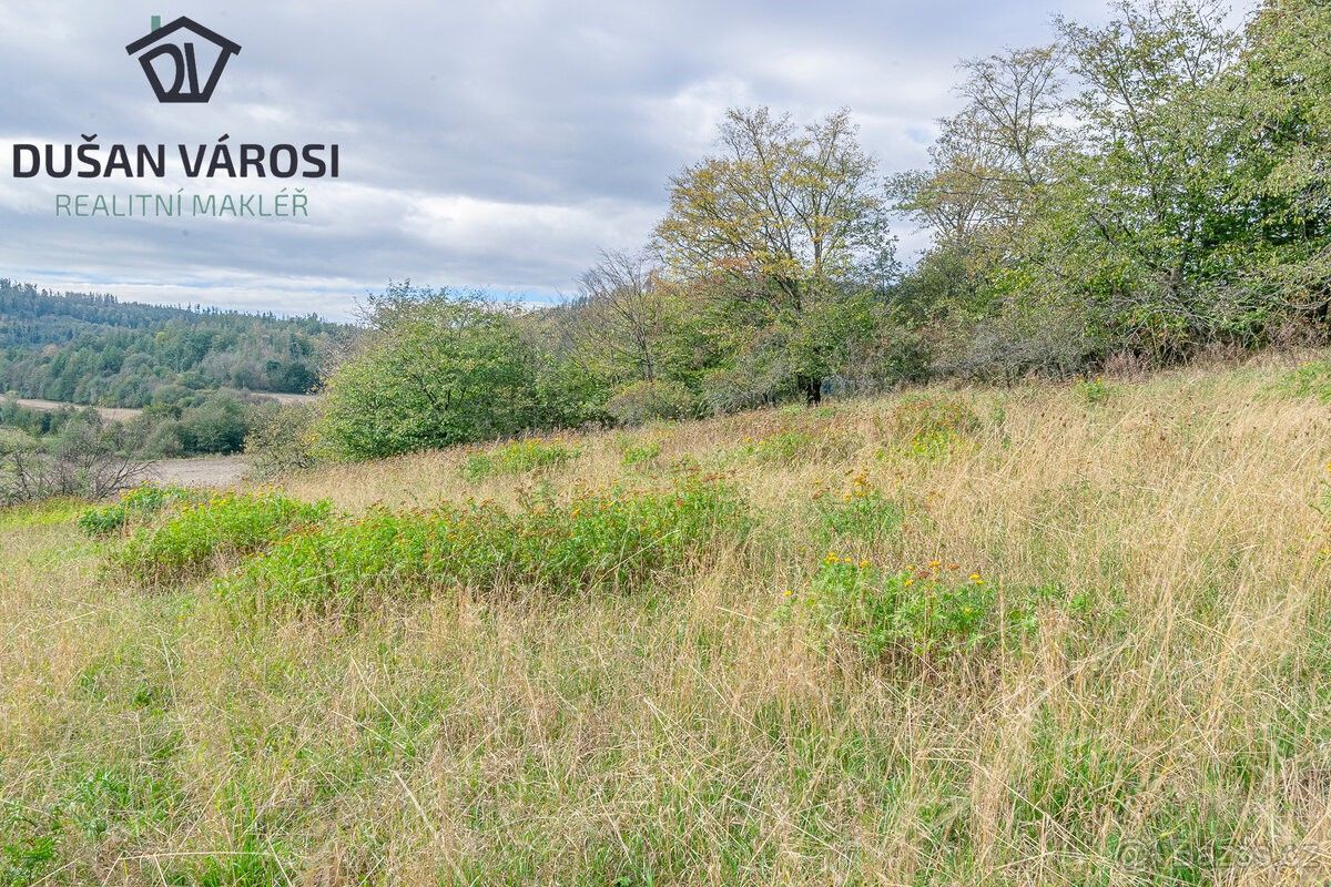 Pozemky pro bydlení, Město Albrechtice, 793 95