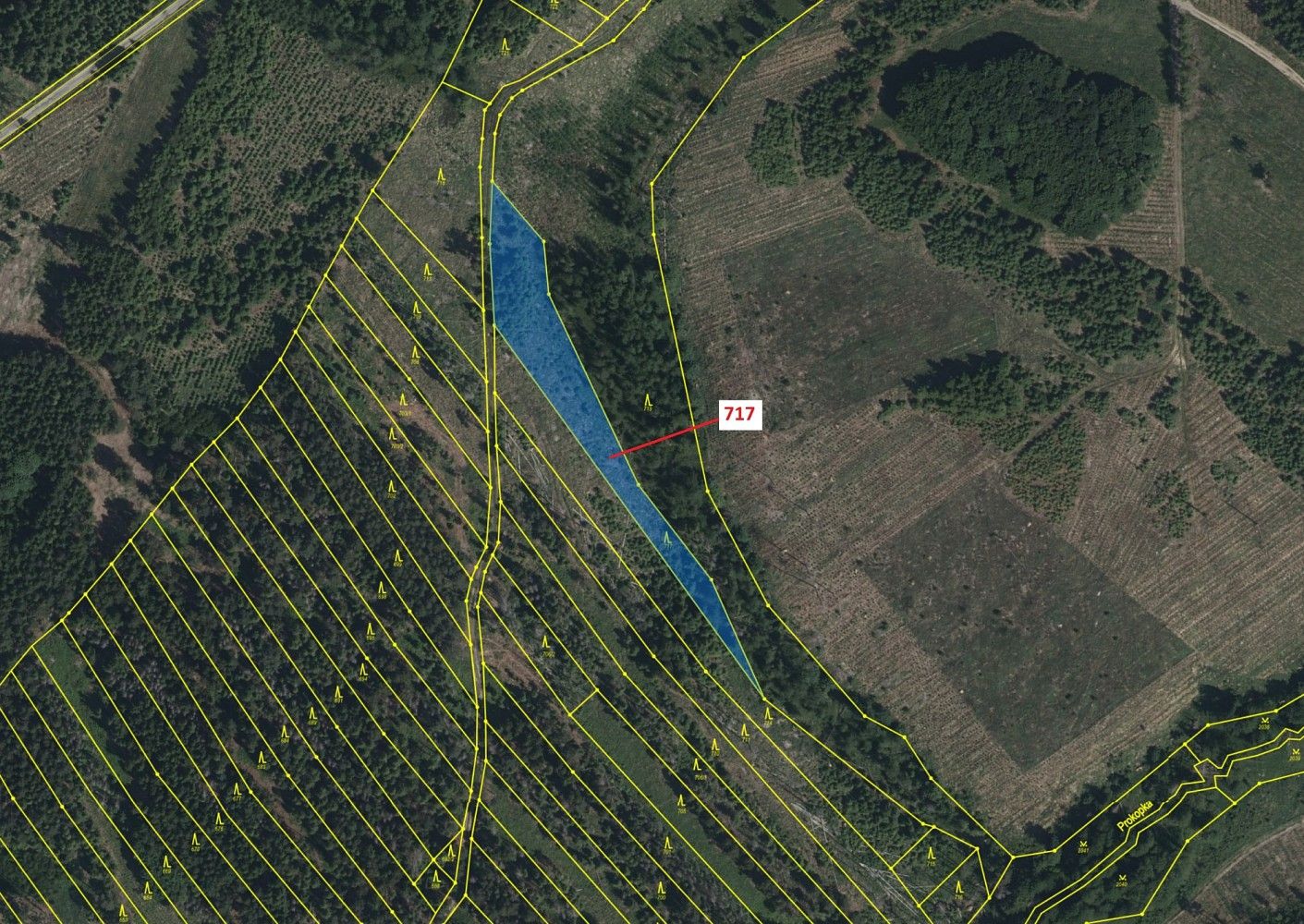 Prodej les - Knínice, okres Jihlava, Kraj Vysočina - 2