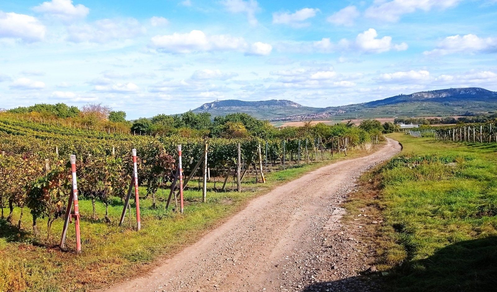 Ostatní, Dolní Dunajovice, 867 m²