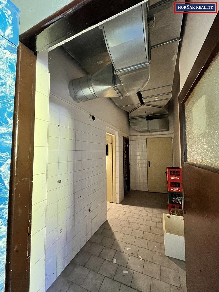Restaurace · 207 m² · Nádražní, Bučovice, okres Vyškov - 3